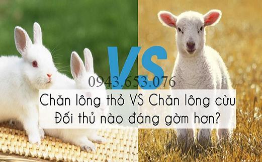 So sánh chăn lông cừu và chăn lông thỏ